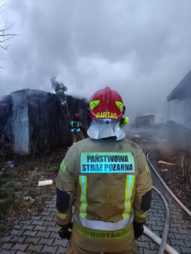 Toruń: Pożar pustostanu przy Szosie Chełmińskiej. Imponująca łuna ognia