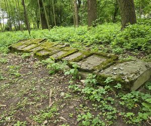 Cmentarz żydowski w Leżajsku