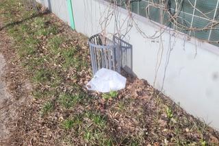 Tak źle jeszcze nie było? Olsztyn cały zaśmiecony. „Jest to problem dla właścicieli zwierząt i turystów”