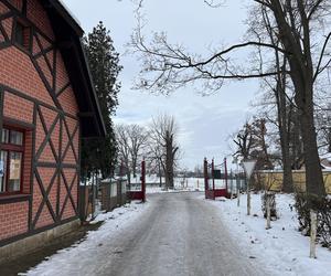 Pałac Slatiňany niedaleko Pardubic - zdjęcia. Święta 100 lat temu i zabytkowa stadnina koni