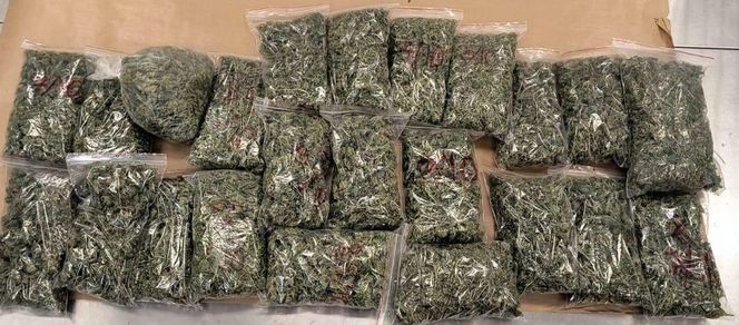 Policjanci z Koszalina przechwycili narkotyki warte pół miliona złotych