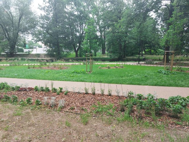 Park im. Szafera w Rzeszowie 