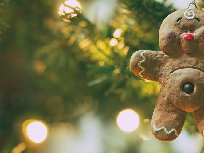 Choinka 2021 – najpiękniejsze ozdoby. Jak dekorować świąteczne drzewko? [INSPIRACJE]