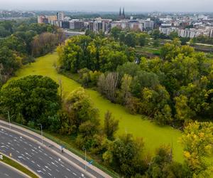 Port Praski - widok z drona, wrzesień 2024