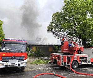 Pożar baraków przy ulicy Krzyskiej w Tarnowie. Na miejscu 16 zastępów straży pożarnej 