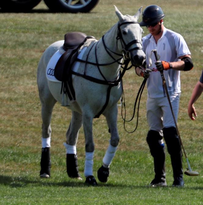 Chwalił się koniem i dostał buzi