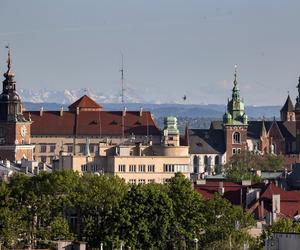 Tyle kosztuje wynajem mieszkania w tych miastach!