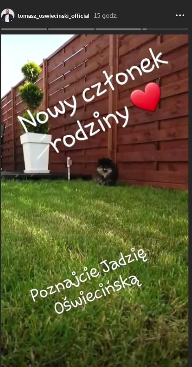 Tomasz Oświeciński pokazał nowego członka rodziny - piesek Jadzia