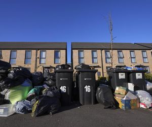 W. Brytania/ W Birmingham od miesiąca strajkują pracownicy wywożący śmieci, na ulicach szczury wielkości kota