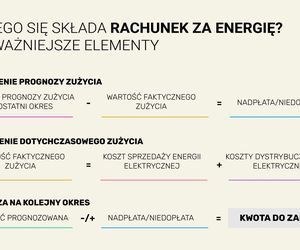 Rachunki za prąd 2023 - jakie zmiany w tym roku? Jak czytać rachunek za prąd?