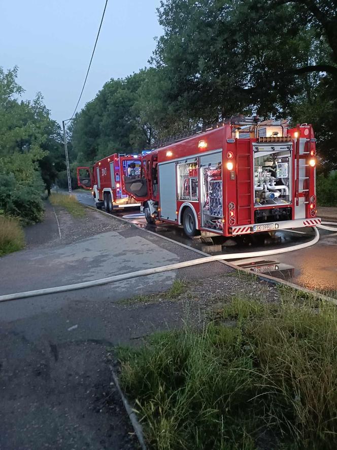 Sobotni pożar altany na ogródkach działkowych w Katowicach