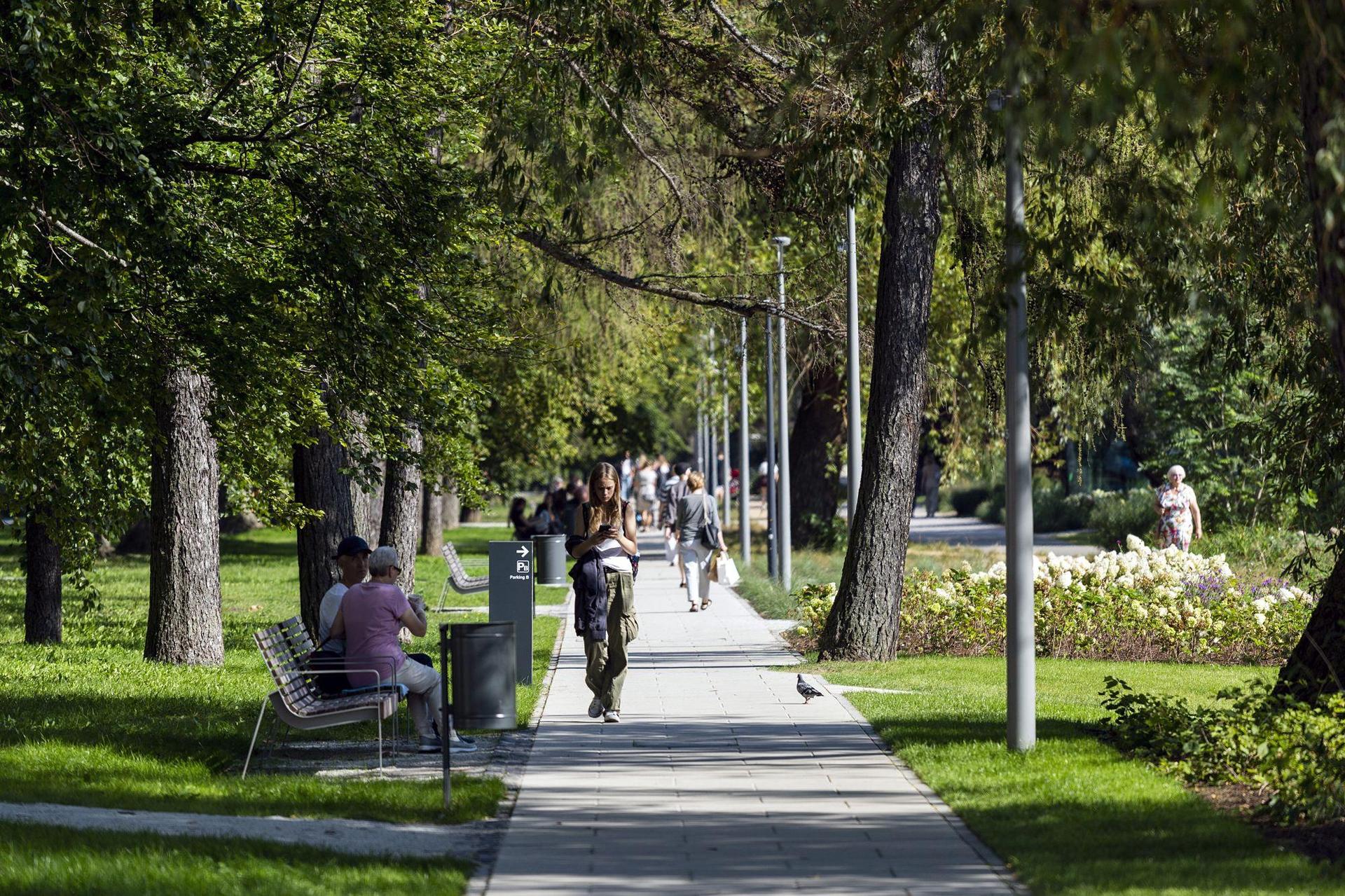 Park Centralny w Gdyni