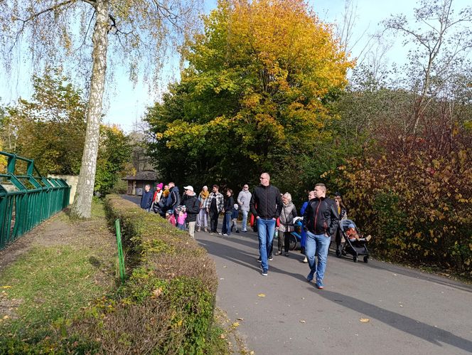 Gdański Ogród Zoologiczny jesienią