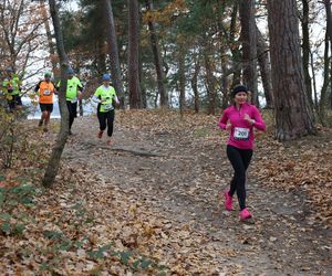 City Trail – Bieg Niepodległości 2024 nad Zalewem Zemborzyckim w Lublinie