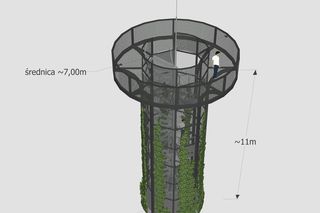 Na Górce Rogowskiej stanie wieża widokowa