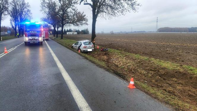 Matka i dzieci poszkodowane w wypadku koło Leszna