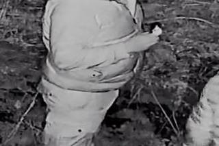 Włamanie do pałacu w Mordach