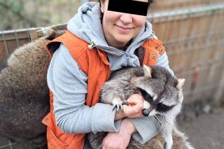 Dyrektorka zoo z nowymi zarzutami! Współpracownicy Ewy Z. przyznali się do winy. Chodzi o wybieg dla słoni