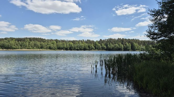 To jezioro w Olsztynie ma niezwykle czystą wodę. Jest kilka dzikich plaż, które świecą pustkami