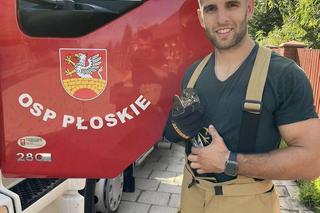 Strażacy z OSP Płoskie wracali z akcji i uratowali jastrzębia