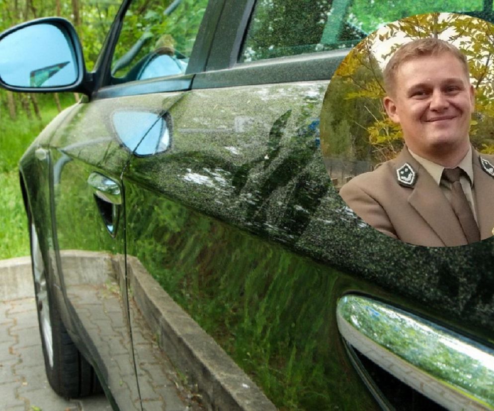Tajemniczy żółty nalot w Świętokrzyskiem. Wyjaśniamy, co pyli w maju!