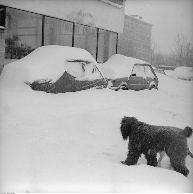 Tego Sylwestra ludzie zapamiętali na całe życie. Na przełomie 1978 i 1979 roku zaczęła się zima stulecia 