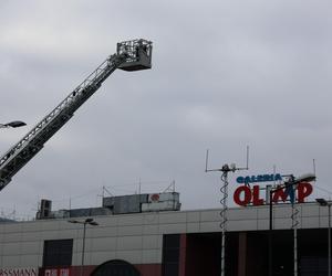 Inscenizacja wypadku, głaskanie alpak i koncerty. Tak gra Wielka Orkiestra Świątecznej Pomocy w Lublinie! 