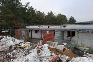 Pożar w schronisku Dąbrówka pod Wejherowem. Blisko trzydzieści zwierząt nie żyje. Wszyscy tu ryczą