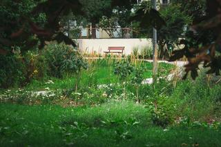 Stawy Brustmana po modernizacji