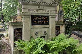 Grób rodziny Stuhrów