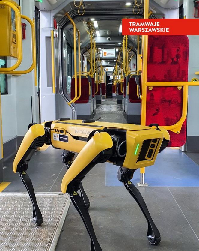 Pies-robot odwiedził tramwajarzy. Niecodzienny gość w zajezdni na Bielanach