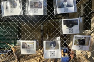 Przygotowania do nadchodzącej zimy. Odwiedziliśmy olsztyńskie Schronisko dla zwierząt [ZDJĘCIA]