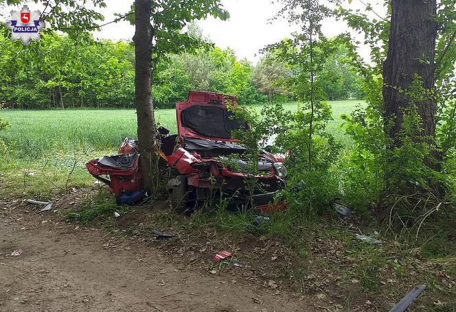 Tragiczne w skutkach uderzenie w drzewo