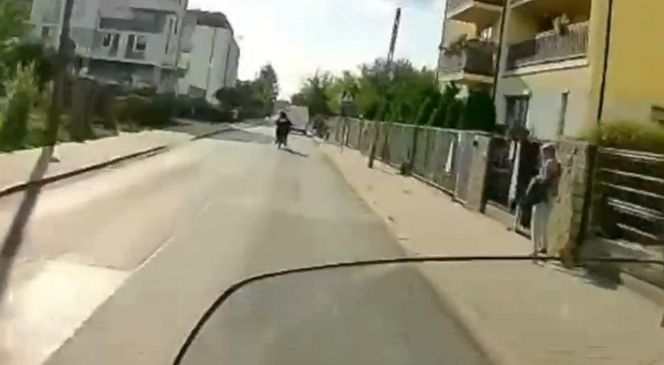 Szaleńcza ucieczka ulicami Piaseczna