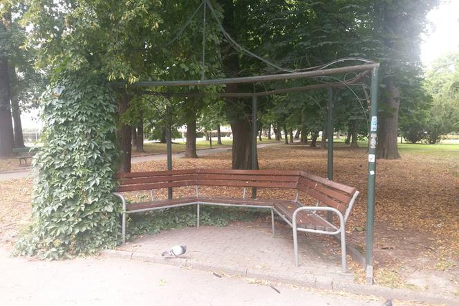 Park przy Dąbrowskiego w Rzeszowie