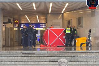 Zmarł na wózku inwalidzkim przed Dworcem Centralnym. Tragiczny poranek w Warszawie