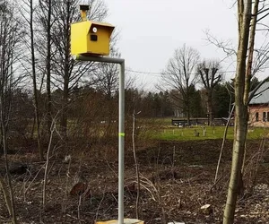 Budka lęgowa jak fotoradar. Obłąkany pomysł z Obłąków, ale na kierowców działa 