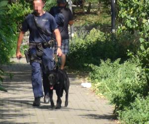 Strzał na bazarze w Warszawie. Jedna osoba trafiła do szpitala. „Poszukujemy sprawcy”