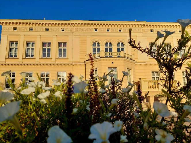 Sowa nieźle się pieni i dobrze pachnie. Nowe pamiątki z Ostromecka się podobają, ale ludzie chcą magnesu z Grubym