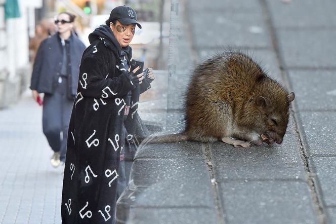 Paticia Kazadi w drodze do butiku na przymiarki spotkala szczura na swojej drodze