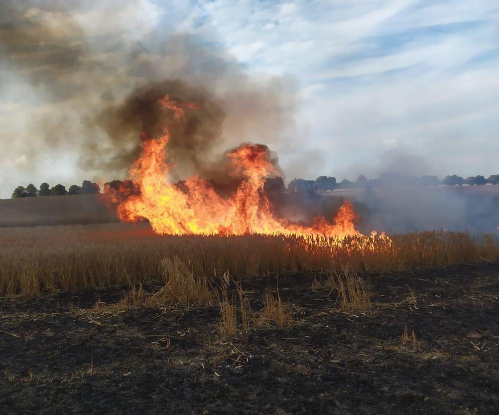 Dwa pożary zboża oraz rżyska w powiecie braniewskim