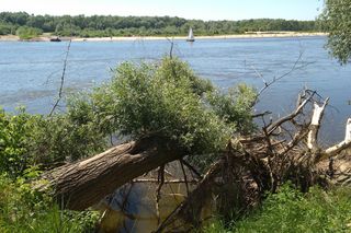 Niewiele osób wie o tej plaży nad Wisłą. Nazwa w pełni oddaje jej urok