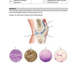 Matura 2025: biologia 9.05.2025. Arkusze CKE i odpowiedzi [Formuła 2015]