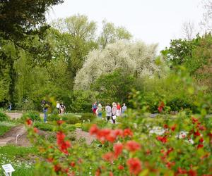 Ogród Botaniczny w Lublinie
