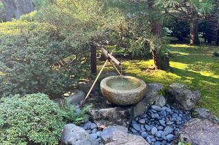 Woda w ogrodzie japońskim