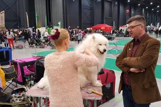 Tysiące psów i odwiedzających. II Międzynarodowa wystawa Psów Rasowych odbyła się w Bydgoszczy
