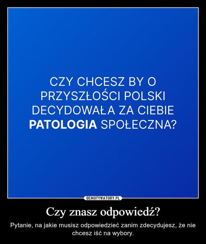 Wybory 2023 najlepsze MEMY. Szydera na maksa! Internauci bezlitośni dla polityków