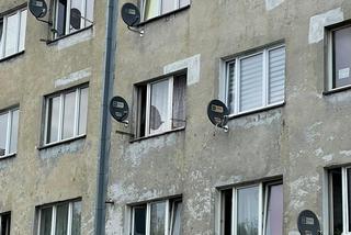 Jastrzębie-Zdrój. 3-latek wypadł z okna! Ojciec i jego partnerka byli pijani?!