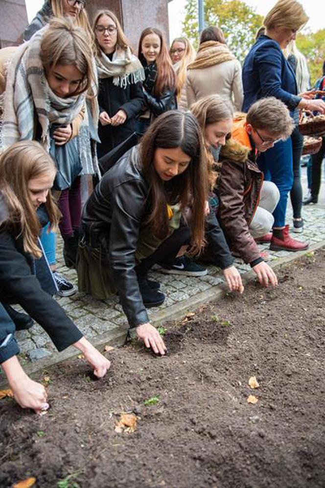 Fundacja "Pomóż Im". Po raz dziesiąty zaczęli siać Pola Nadziei [ZDJĘCIA]