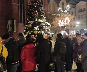 Rozświetlenie elbląskiej choinki miejskiej